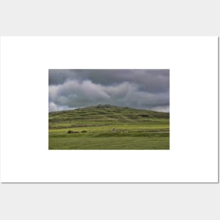 Cox Tor, Dartmoor, Devon, Posters and Art